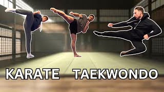 TAEKWONDO vs KARATE  Comparing kicks [upl. by Asiel]