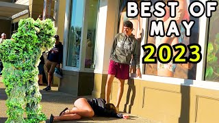 Ultimate Best of Bushman Compilation for May 2023 [upl. by Friedland913]