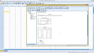 SPSS  Conjoint Analysis [upl. by Angadresma358]