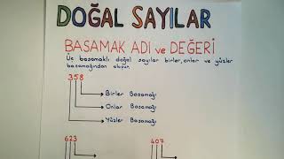 3 Sınıf Matematik Dersi Basamak Adı Sayı Değeri Basamak Değeri ve Çözümleme [upl. by Kassel133]