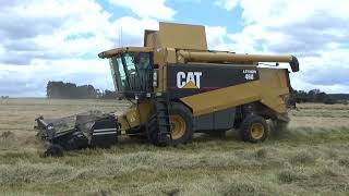 Hopefield Grass Seed Harvest 2024 Part 2 [upl. by Eahsed]