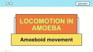 Locomotion in amoeba  Amoeboid movement [upl. by Kavanaugh]