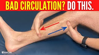 How to INSTANTLY Improve Leg Circulation and Blood Flow [upl. by Ares]