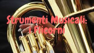 Strumenti Musicali i Flicorni [upl. by Johnathon617]