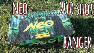 NEO 200 SHOT BANGER 4thofjuly fireworks pyro pyroaddicts demo banger pyromaniac [upl. by Eilrahs]