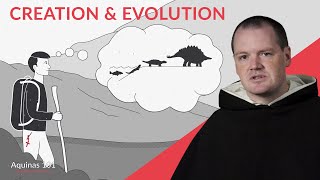 Are Creation and Evolution Compatible Aquinas 101 [upl. by Whitney]