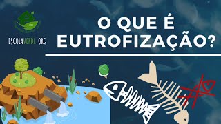 O QUE É A EUTROFIZAÇÃO 🐟 [upl. by Krahmer846]