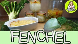 Fenchel  Auflauf als haltbare Kühlkonserve und Fenchel fermentieren [upl. by Jeu]