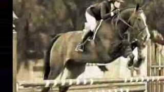 Katharines Journey to the Maclay National Championship [upl. by Suirtemid771]