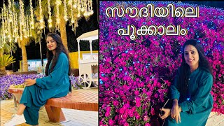 Yanbu Flower Festival 2024💐saudiarabia travelvlog yanbu flowerfestival [upl. by Rezzani342]