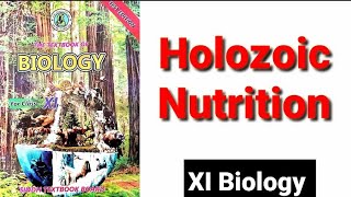 Holozoic Nutrition XI Biology [upl. by Garth]