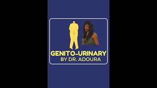 GenitoUrinary Medicine part 1 for PLAB 1 MSRA or MRCP [upl. by Fidelis123]