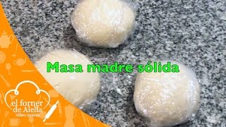 Masa Madre Sólida [upl. by Roderich82]