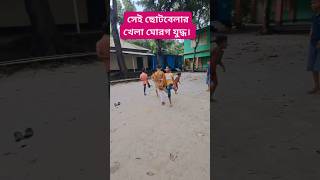 মোরগ যুদ্ধ shorts youtubeshorts [upl. by Narcissus]