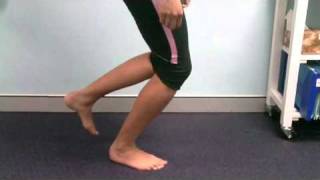 17 Physiotherapy North Sydney Patella Tendon Injury Exercise [upl. by Llerat609]