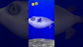 Fugu fish 🐟🐟 Sad 😢😭challenge shortvideo shorts virel viral viralshorts [upl. by Nnayrb79]