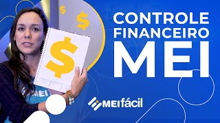 MEI controle financeiro para o microempreendedor individual  MEI Fácil [upl. by Asiak]