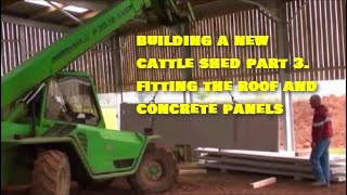 BUILDING A CATTLE SHED PART 3 FITTING THE ROOF amp CONCRETE PANELS [upl. by Benildis]