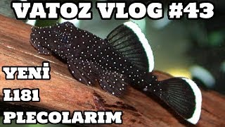 Vatoz Vlog 43 Yeni L181 Plecolarım [upl. by Llyrat]