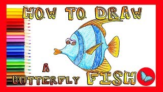 How To Draw A Butterfly Fish Coloring and Drawing for Kids [upl. by Emmit]