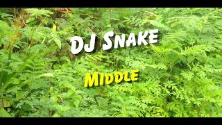 DJ Snake  Middle Lyrics [upl. by Leitnahs674]