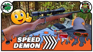 Savage Arms 93R17 FVSR Review [upl. by Llorrad]