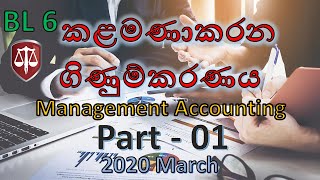 2020 March  BL6  Part 1  Management Accounting  CA Sri Lanka Webinars [upl. by Hanikahs851]