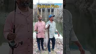 BIG PATHAN FISHWALLAGO ATTU FISHHUNTING [upl. by Willman]