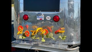 Chilliwack Sunflower Festival 2020 [upl. by Floyd806]