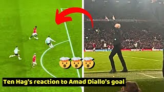 Ten Hags reaction to Amad Diallos goal in Manchester United vs Liverpool 43 [upl. by Schaeffer276]