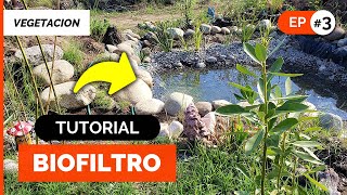 CÓMO HACER UN BIOFILTRO CASERO 💧🌱 Estanque para Tratamiento de Aguas Grises ♻️ paso a paso ep3 [upl. by Krys]