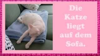 Deutsch lernen mit Katzen Möbel und Präpositionen [upl. by Small]