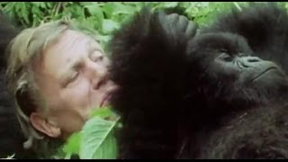 Your Favourite Sir David Attenborough Moments AttenboroughWeek  BBC Earth [upl. by Tannenbaum]