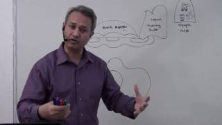 Immunology Macrophage Lecture 5 Part 110 [upl. by Deyas]