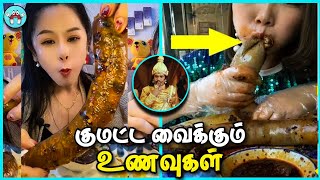 உலகின் கொடூரமான உணவுகள்  Dangerous and Unusual Foods in the Worlds [upl. by Ynattirb387]