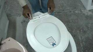 Toilet seat fixing [upl. by Heloise]