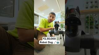 ₹250000 Robot Dog 🐶💰 [upl. by Atinahc719]