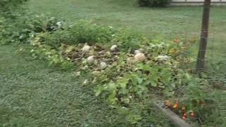 Permaculture Raingarden  Suburban Design [upl. by Erbua]