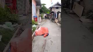 barangay project trending viral youtube shorts videoviral highlights [upl. by Llennoc]