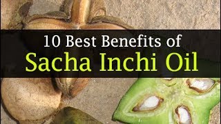 10 Amazing Sacha Inchi Oil Benefits [upl. by Falconer]