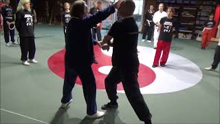 Application Ratan Ring on selfdefence workshop Grandmaster Walter Toch [upl. by Nah]