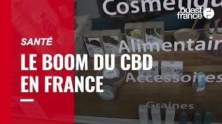 Immersion dans une boutique de CBD à Rennes [upl. by Annahoj]