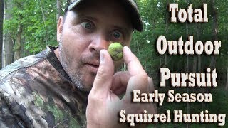 How To Hunt Squirrels  Early Season 22 cal Rifle Hunting Tips amp Tactics [upl. by Atineb169]