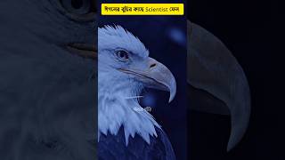 🦅 Eagle intelligence will surprise you 😱 wise eagle shorts intelligent eagles [upl. by Mehta]