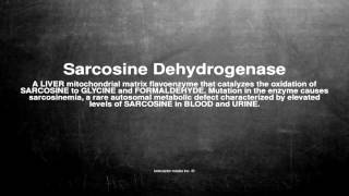 Medical vocabulary What does Sarcosine Dehydrogenase mean [upl. by Shere]