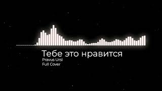 Pravus Ursi — Тебе это нравитсяЮГ404 Lida Full Cover [upl. by Dayna419]