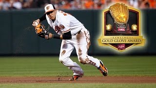 Manny Machado • Defensive Highlights • 2016 [upl. by Rehotsirk]