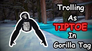 Trolling AS TipToe In Gorilla Tag [upl. by Octavian]