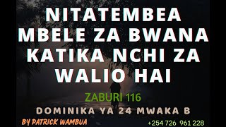 Nitatembea Mbele Za Bwana Katika Nchi Za Walio Hai By Patrick Wambua  Dominika Ya 24 Mwaka B [upl. by Okime880]