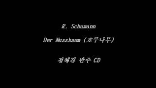 Der Nussbaum Op 25 No 3 R Schumann  Accompaniment [upl. by Dun]